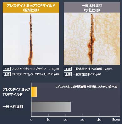 試験結果画像