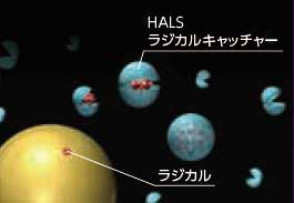 HALSラジカルキャッチャーモデル図