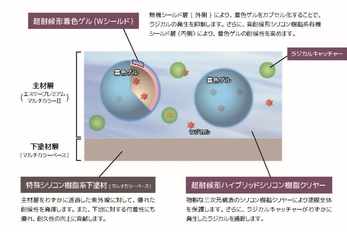 着色ゲル（Wシールド）図