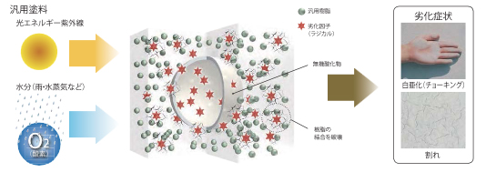 外壁劣化モデル図と写真