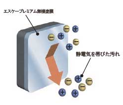 帯電性モデル図