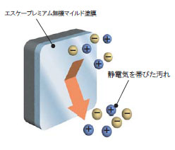 帯電性モデル図