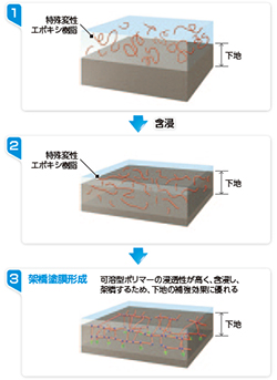 架橋メカニズム　図解