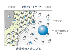 透湿性のメカニズム　図解