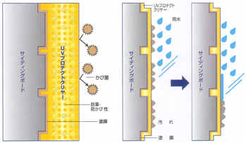 防かび・防藻性