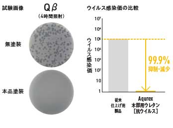 試験データ画像