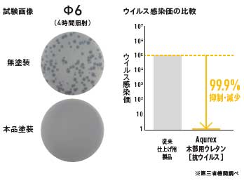 試験データ画像