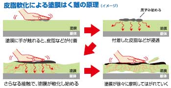 皮脂軟化による塗膜はく離の原理(イメージ)