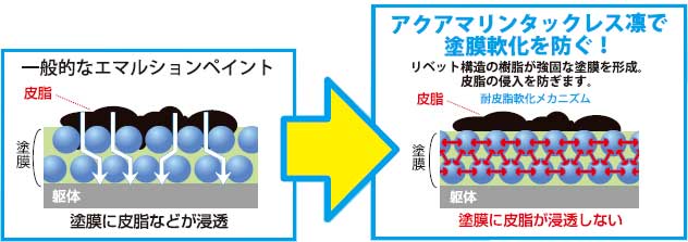 一般製品比較図