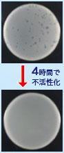 4時間で不活性化