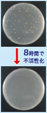 4時間で不活性化