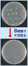 4時間で不活性化