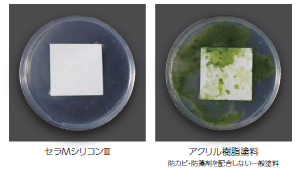 従来タイプとの比較モデル