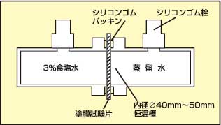 遮塩性試験モデル図