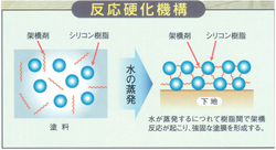 高耐候性