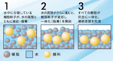 過程図