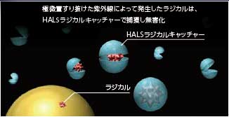 HALSラジカルキャッチャーモデル図