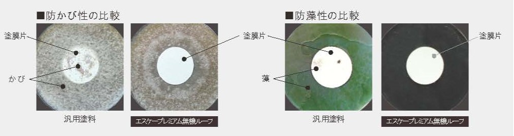 防かび性・防藻性の比較